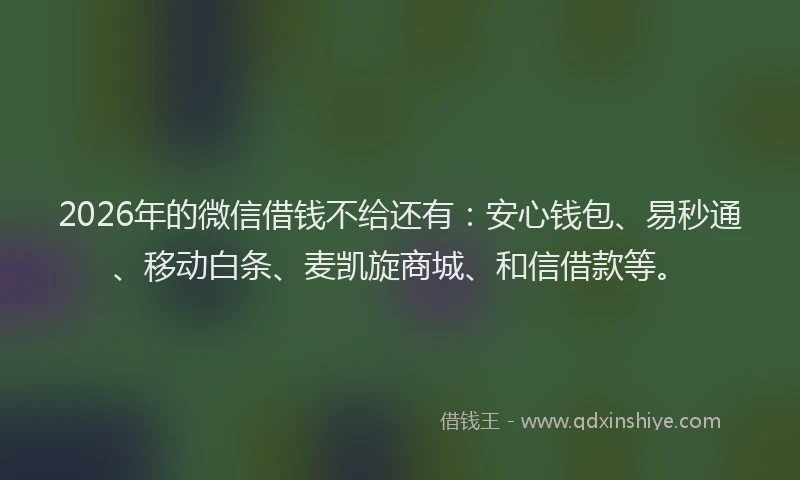 2026年的微信借钱不给还有：安心钱包、易秒通、移动白条、麦凯旋商城、和信借款等。