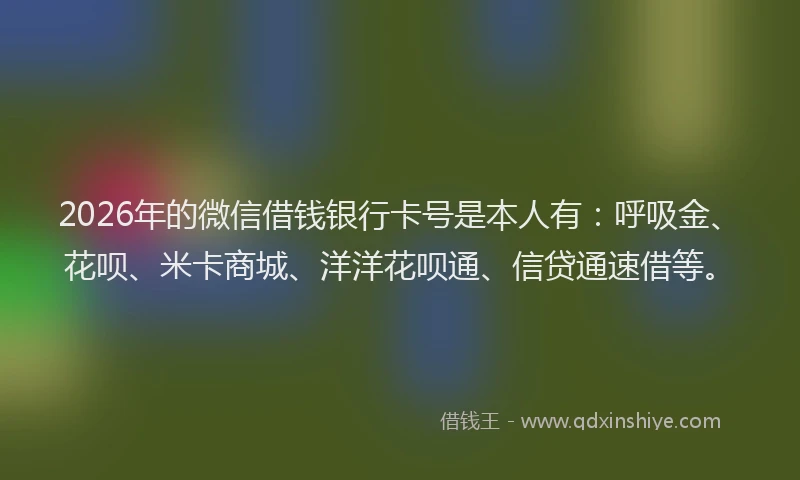 2026年的微信借钱银行卡号是本人有：呼吸金、花呗、米卡商城、洋洋花呗通、信贷通速借等。