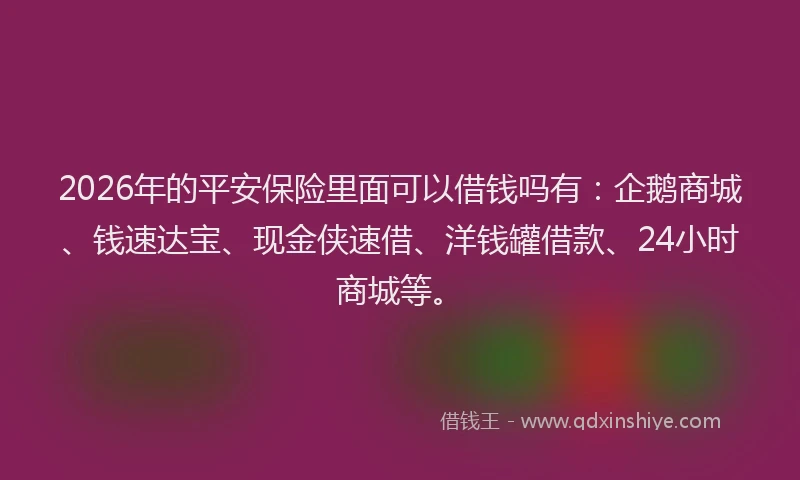 2026年的平安保险里面可以借钱吗有：企鹅商城、钱速达宝、现金侠速借、洋钱罐借款、24小时商城等。