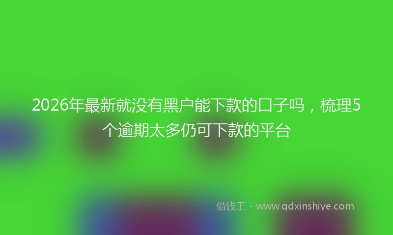 2026年最新就没有黑户能下款的口子吗，梳理5个逾期太多仍可下款的平台