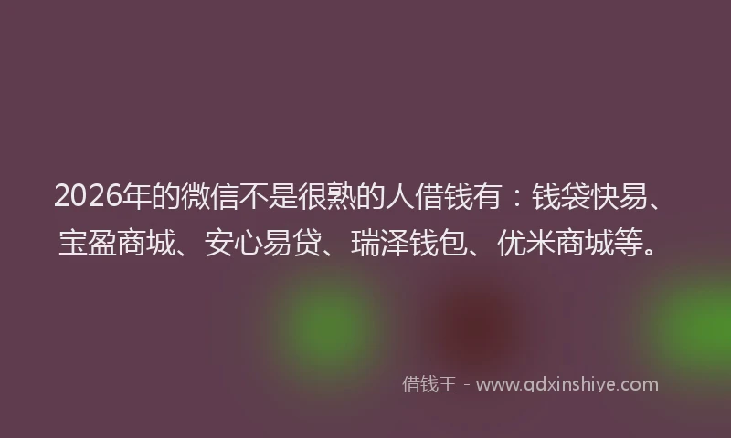 2026年的微信不是很熟的人借钱有：钱袋快易、宝盈商城、安心易贷、瑞泽钱包、优米商城等。