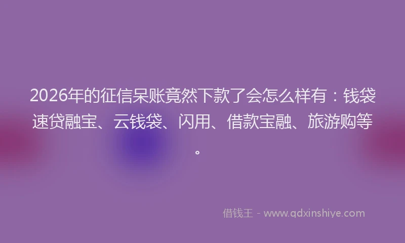 2026年的征信呆账竟然下款了会怎么样有：钱袋速贷融宝、云钱袋、闪用、借款宝融、旅游购等。