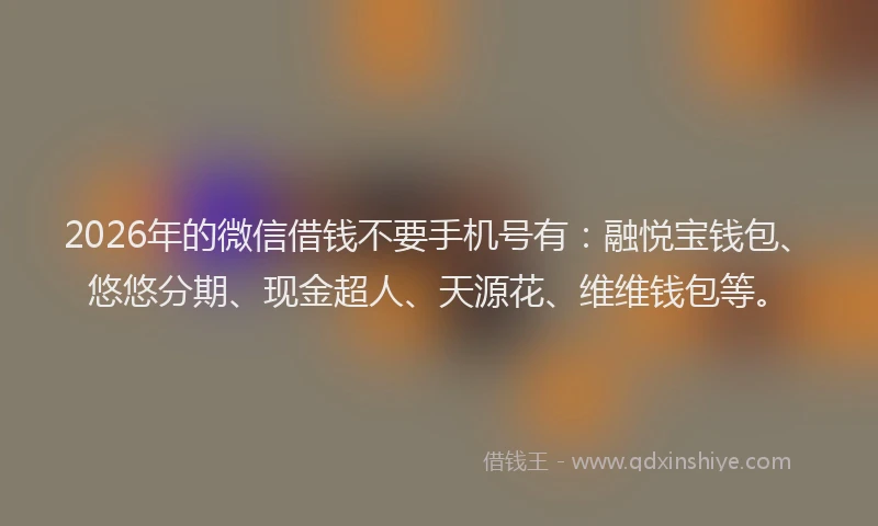 2026年的微信借钱不要手机号有：融悦宝钱包、悠悠分期、现金超人、天源花、维维钱包等。