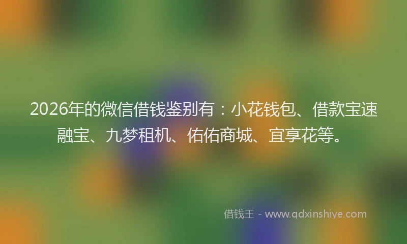 2026年的微信借钱鉴别有：小花钱包、借款宝速融宝、九梦租机、佑佑商城、宜享花等。