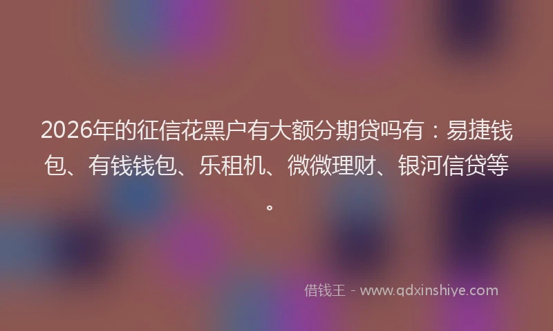 2026年的征信花黑户有大额分期贷吗有：易捷钱包、有钱钱包、乐租机、微微理财、银河信贷等。
