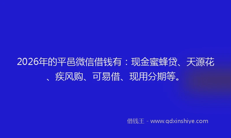 2026年的平邑微信借钱有：现金蜜蜂贷、天源花、疾风购、可易借、现用分期等。