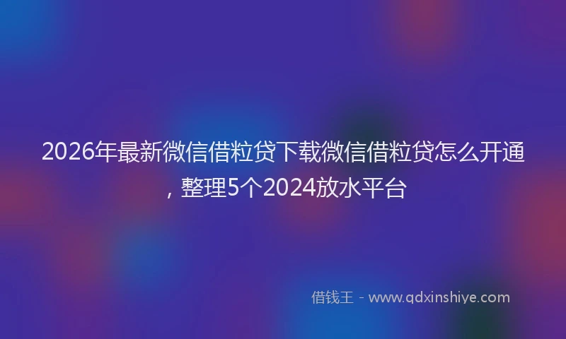 2026年最新微信借粒贷下载微信借粒贷怎么开通，整理5个2024放水平台