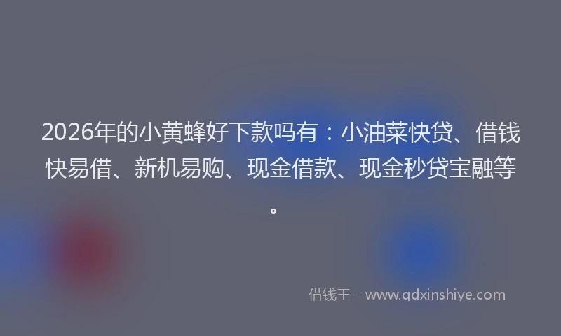 2026年的小黄蜂好下款吗有：小油菜快贷、借钱快易借、新机易购、现金借款、现金秒贷宝融等。
