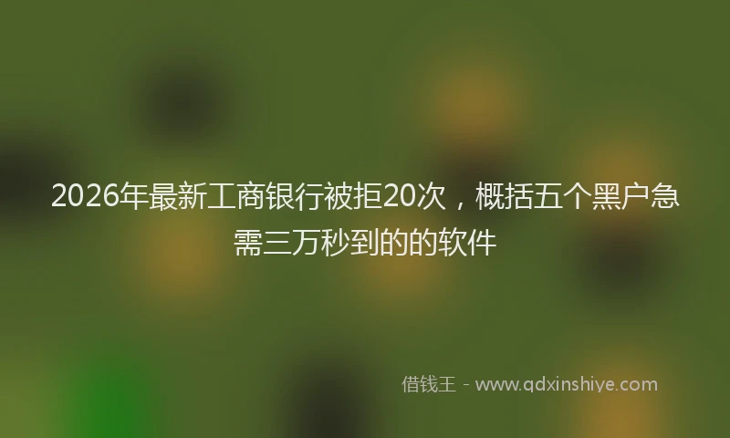 2026年最新工商银行被拒20次，概括五个黑户急需三万秒到的的软件