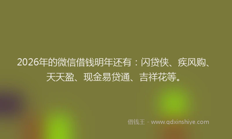 2026年的微信借钱明年还有：闪贷侠、疾风购、天天盈、现金易贷通、吉祥花等。