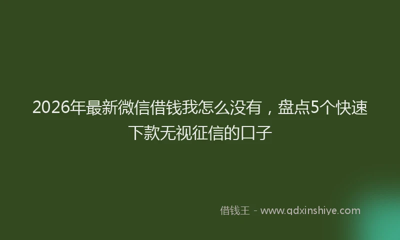 2026年最新微信借钱我怎么没有，盘点5个快速下款无视征信的口子