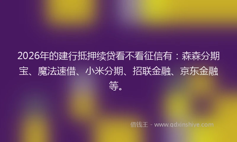 2026年的建行抵押续贷看不看征信有：森森分期宝、魔法速借、小米分期、招联金融、京东金融等。