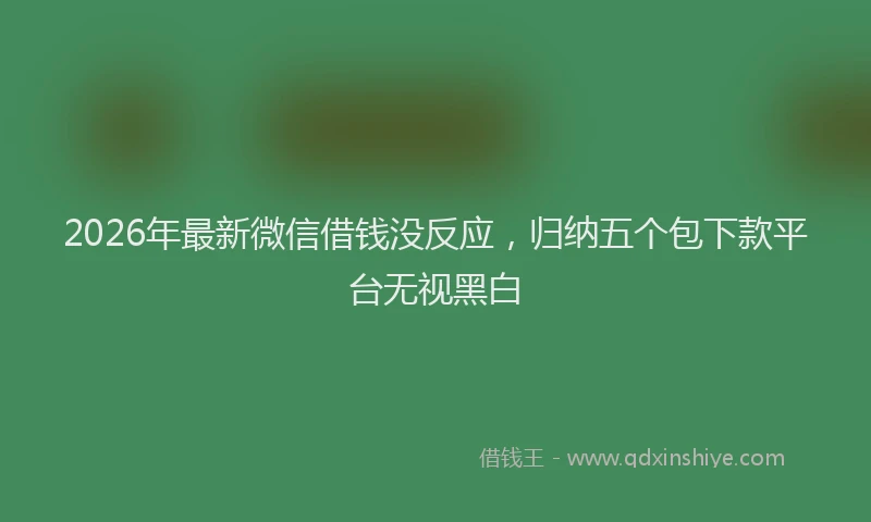 2026年最新微信借钱没反应，归纳五个包下款平台无视黑白