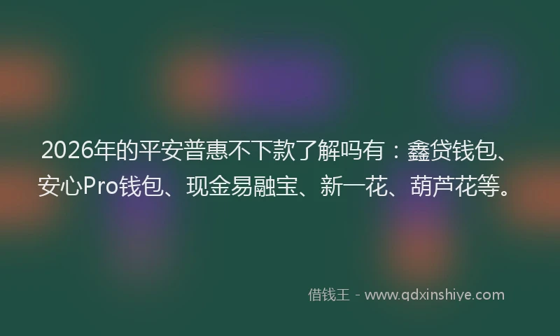 2026年的平安普惠不下款了解吗有：鑫贷钱包、安心Pro钱包、现金易融宝、新一花、葫芦花等。