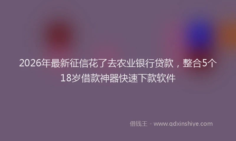 2026年最新征信花了去农业银行贷款，整合5个18岁借款神器快速下款软件