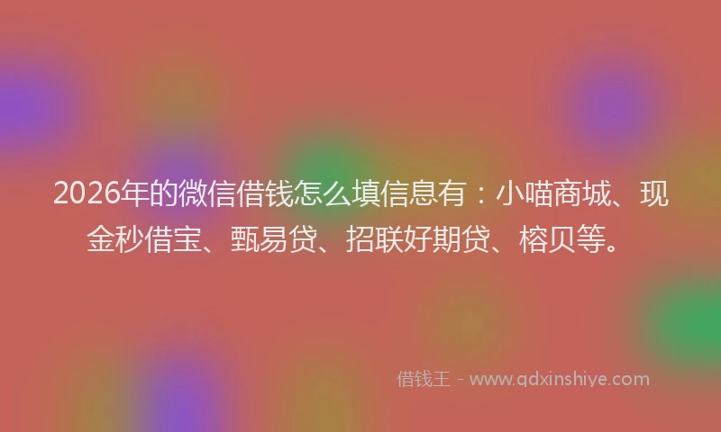 2026年的微信借钱怎么填信息有：小喵商城、现金秒借宝、甄易贷、招联好期贷、榕贝等。