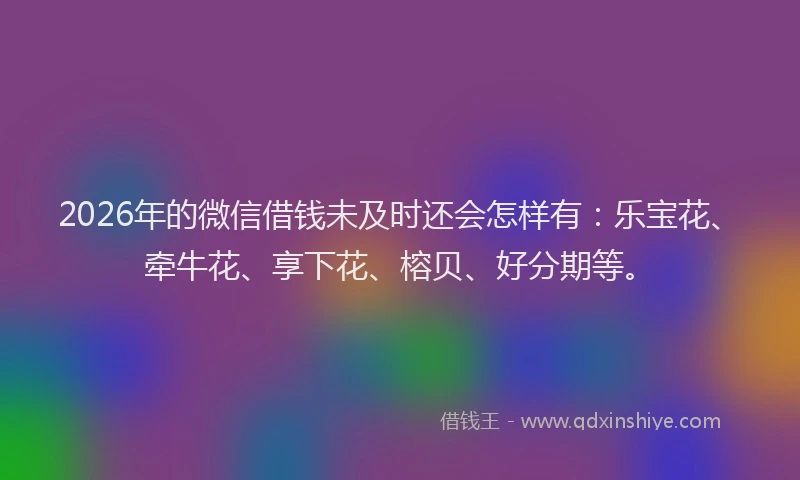 2026年的微信借钱未及时还会怎样有：乐宝花、牵牛花、享下花、榕贝、好分期等。