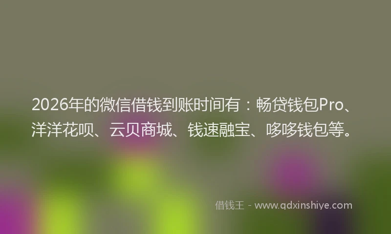 2026年的微信借钱到账时间有：畅贷钱包Pro、洋洋花呗、云贝商城、钱速融宝、哆哆钱包等。