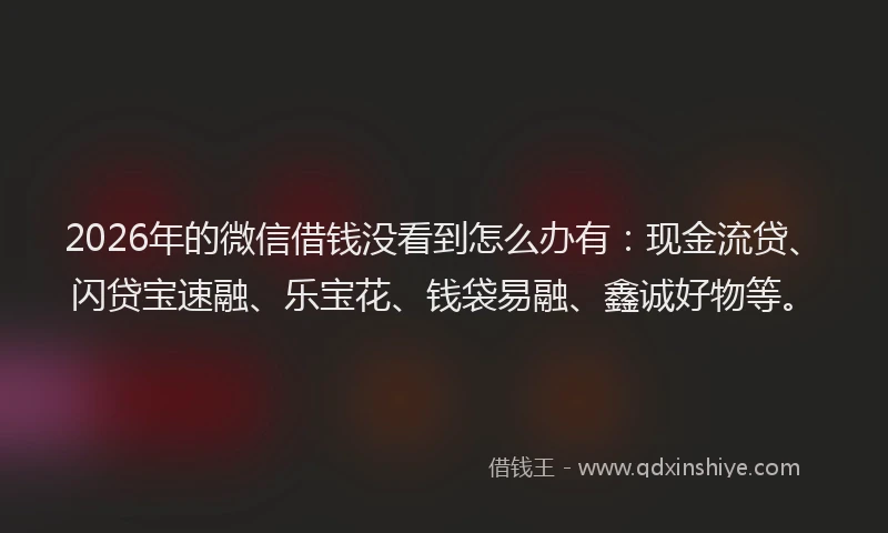 2026年的微信借钱没看到怎么办有：现金流贷、闪贷宝速融、乐宝花、钱袋易融、鑫诚好物等。