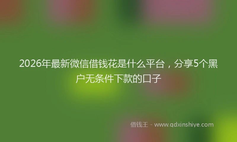 2026年最新微信借钱花是什么平台，分享5个黑户无条件下款的口子