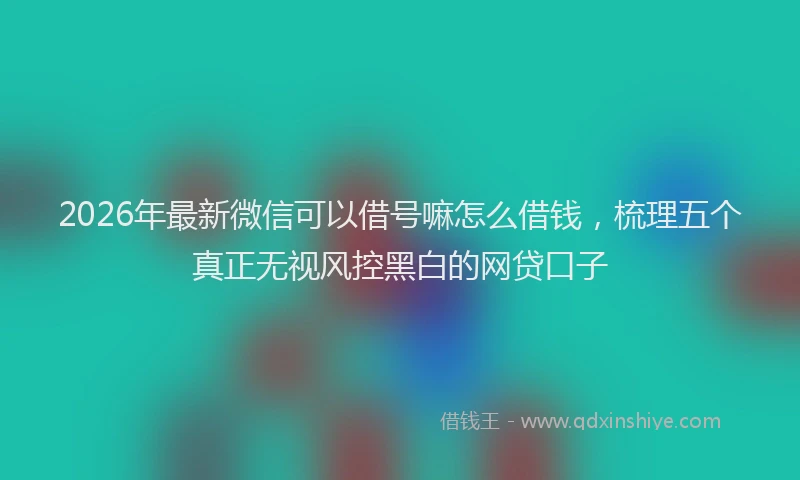 2026年最新微信可以借号嘛怎么借钱，梳理五个真正无视风控黑白的网贷口子