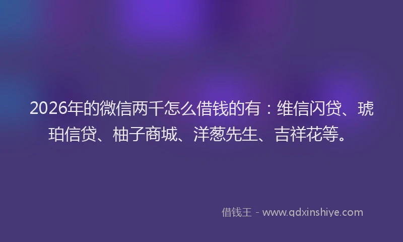 2026年的微信两千怎么借钱的有：维信闪贷、琥珀信贷、柚子商城、洋葱先生、吉祥花等。