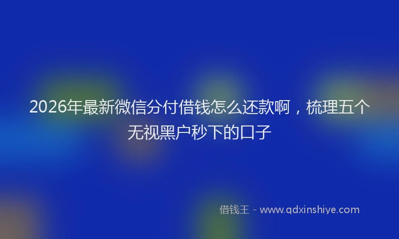 2026年最新微信分付借钱怎么还款啊，梳理五个无视黑户秒下的口子
