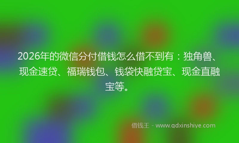 2026年的微信分付借钱怎么借不到有：独角兽、现金速贷、福瑞钱包、钱袋快融贷宝、现金直融宝等。
