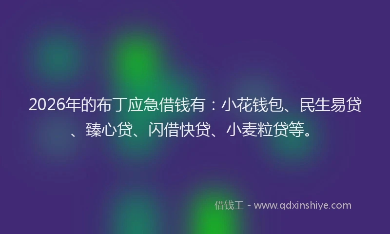 2026年的布丁应急借钱有：小花钱包、民生易贷、臻心贷、闪借快贷、小麦粒贷等。
