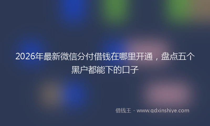 2026年最新微信分付借钱在哪里开通，盘点五个黑户都能下的口子