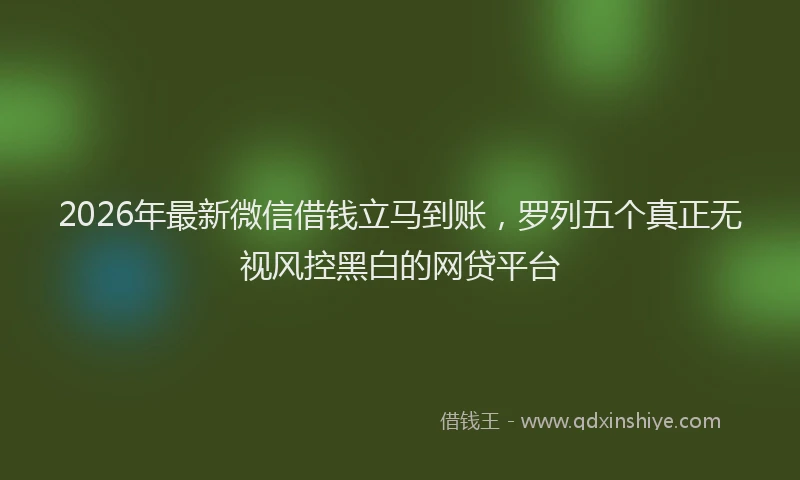 2026年最新微信借钱立马到账，罗列五个真正无视风控黑白的网贷平台
