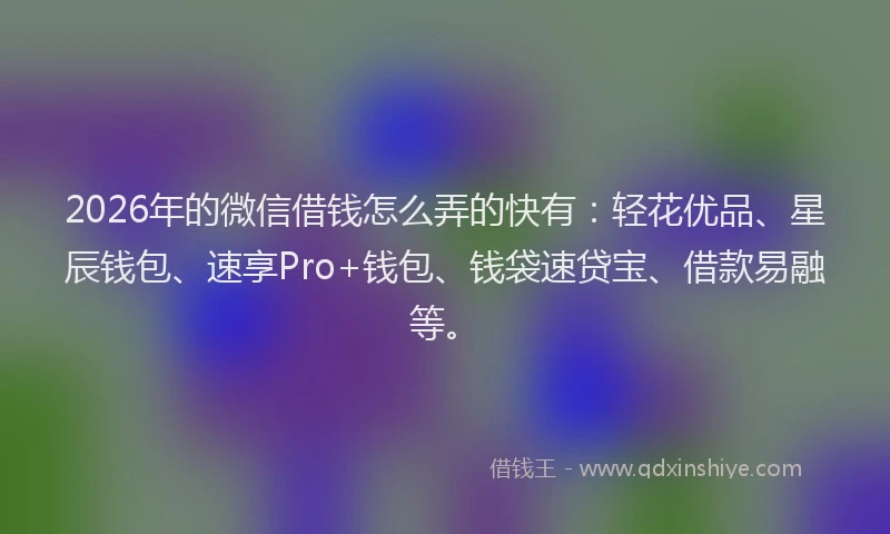 2026年的微信借钱怎么弄的快有：轻花优品、星辰钱包、速享Pro+钱包、钱袋速贷宝、借款易融等。