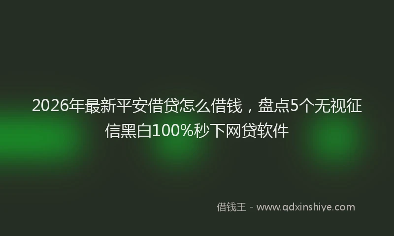 2026年最新平安借贷怎么借钱，盘点5个无视征信黑白100%秒下网贷软件