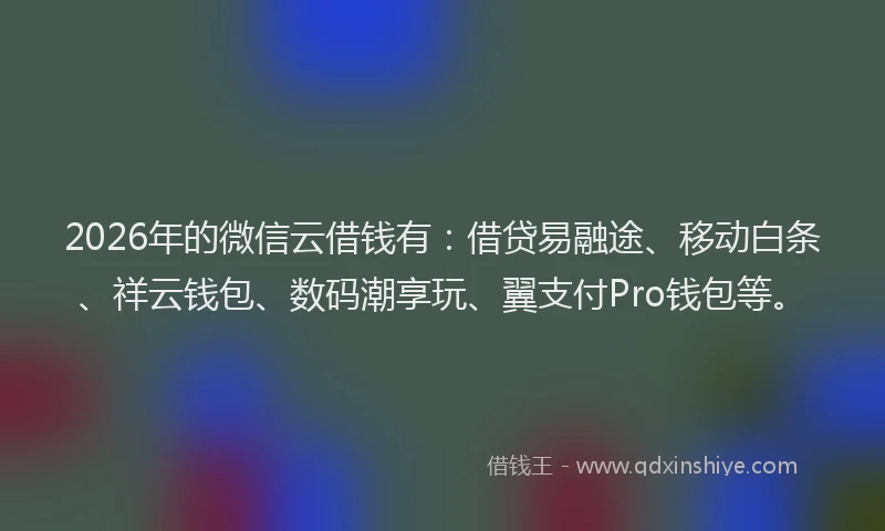 2026年的微信云借钱有：借贷易融途、移动白条、祥云钱包、数码潮享玩、翼支付Pro钱包等。