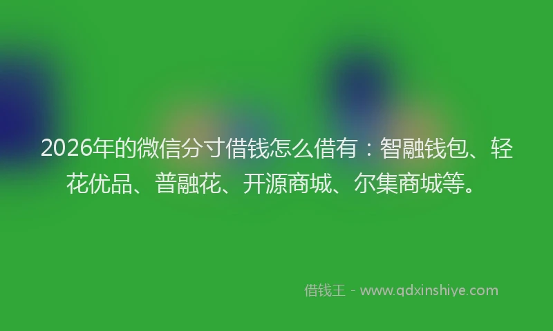 2026年的微信分寸借钱怎么借有：智融钱包、轻花优品、普融花、开源商城、尔集商城等。