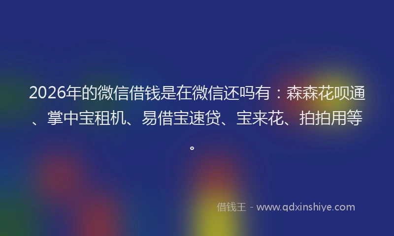2026年的微信借钱是在微信还吗有：森森花呗通、掌中宝租机、易借宝速贷、宝来花、拍拍用等。