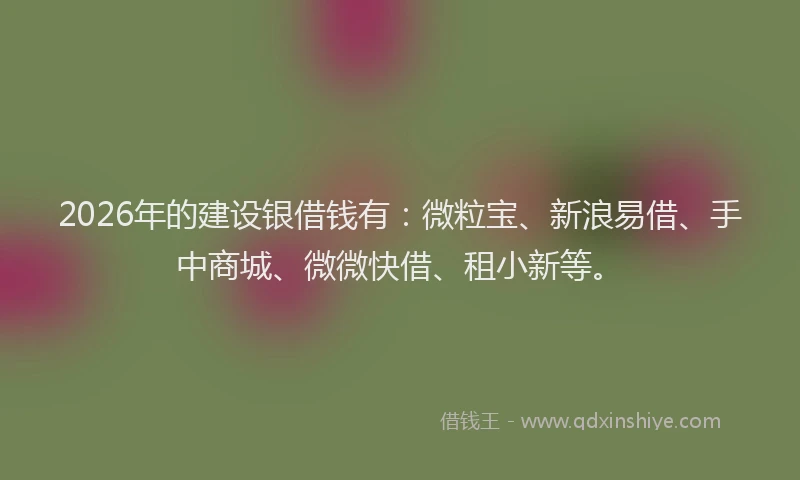 2026年的建设银借钱有：微粒宝、新浪易借、手中商城、微微快借、租小新等。