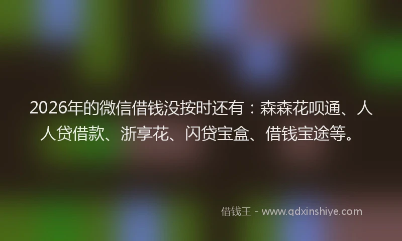 2026年的微信借钱没按时还有：森森花呗通、人人贷借款、浙享花、闪贷宝盒、借钱宝途等。