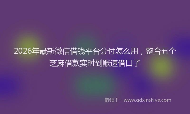 2026年最新微信借钱平台分付怎么用，整合五个芝麻借款实时到账速借口子