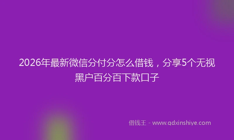 2026年最新微信分付分怎么借钱，分享5个无视黑户百分百下款口子
