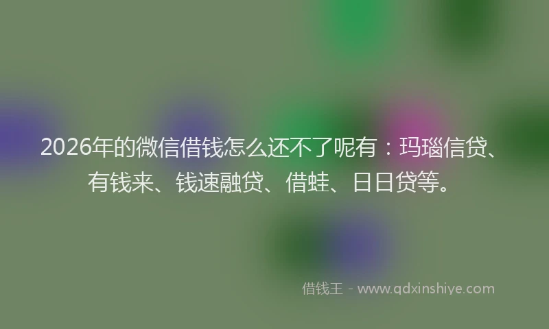 2026年的微信借钱怎么还不了呢有：玛瑙信贷、有钱来、钱速融贷、借蛙、日日贷等。