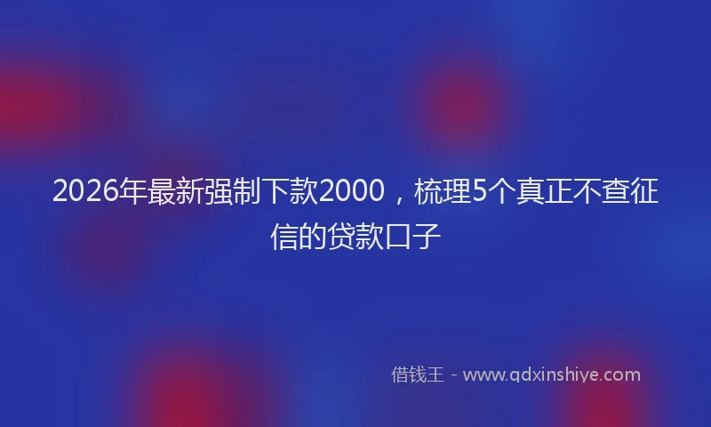 2026年最新强制下款2000，梳理5个真正不查征信的贷款口子