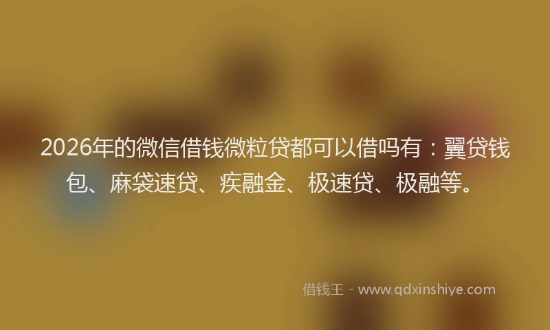 2026年的微信借钱微粒贷都可以借吗有：翼贷钱包、麻袋速贷、疾融金、极速贷、极融等。
