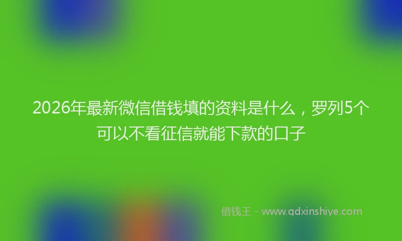 2026年最新微信借钱填的资料是什么，罗列5个可以不看征信就能下款的口子