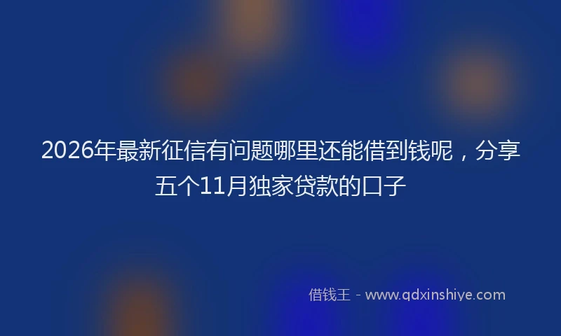 2026年最新征信有问题哪里还能借到钱呢，分享五个11月独家贷款的口子