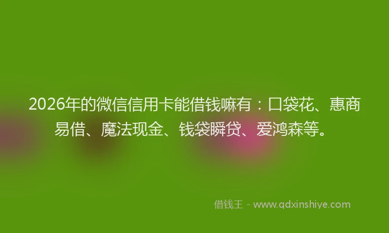 2026年的微信信用卡能借钱嘛有：口袋花、惠商易借、魔法现金、钱袋瞬贷、爱鸿森等。