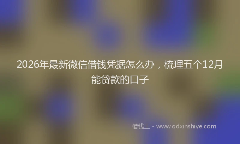 2026年最新微信借钱凭据怎么办，梳理五个12月能贷款的口子