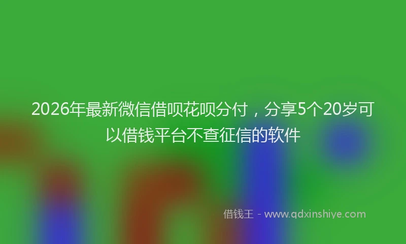 2026年最新微信借呗花呗分付，分享5个20岁可以借钱平台不查征信的软件