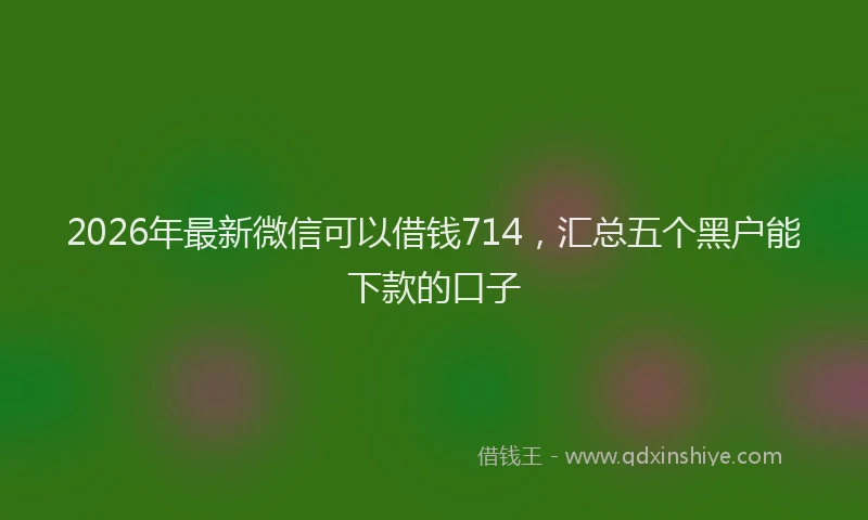 2026年最新微信可以借钱714，汇总五个黑户能下款的口子