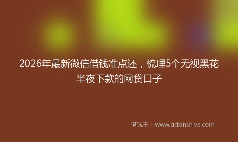 2026年最新微信借钱准点还，梳理5个无视黑花半夜下款的网贷口子